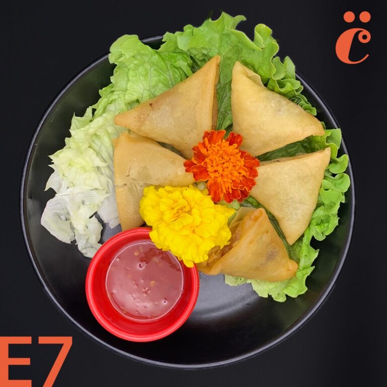 E7 - Samossa (5 pièces)